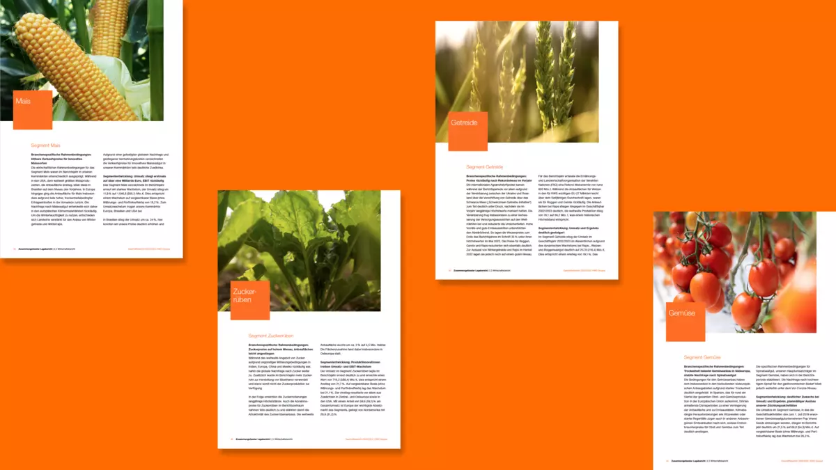 Foto: KC KWS Print Geschäftsbericht Kapiteln