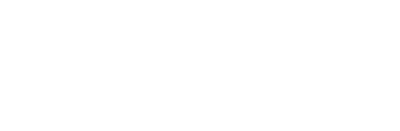 Vicosight Logo