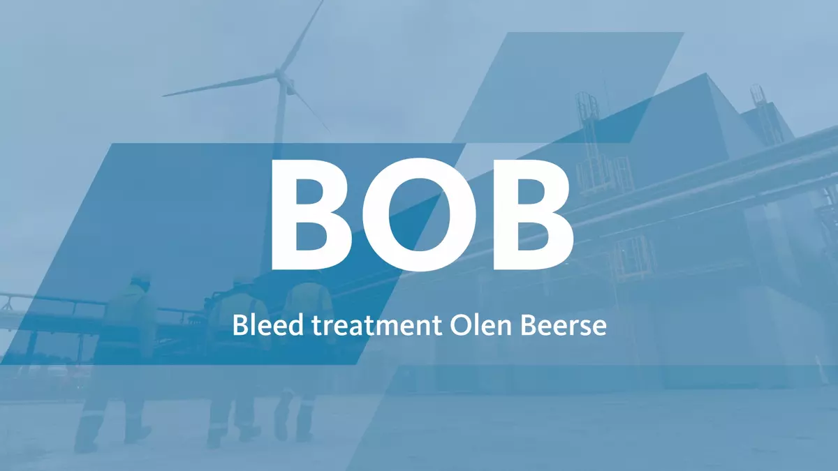 Image BOB Video
