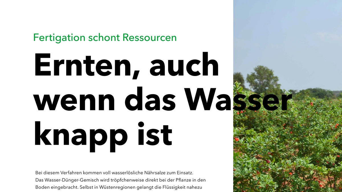Foto: K+S: Geschäftsbericht Absatz "Ernten, auch wenn das Wasser knapp ist"