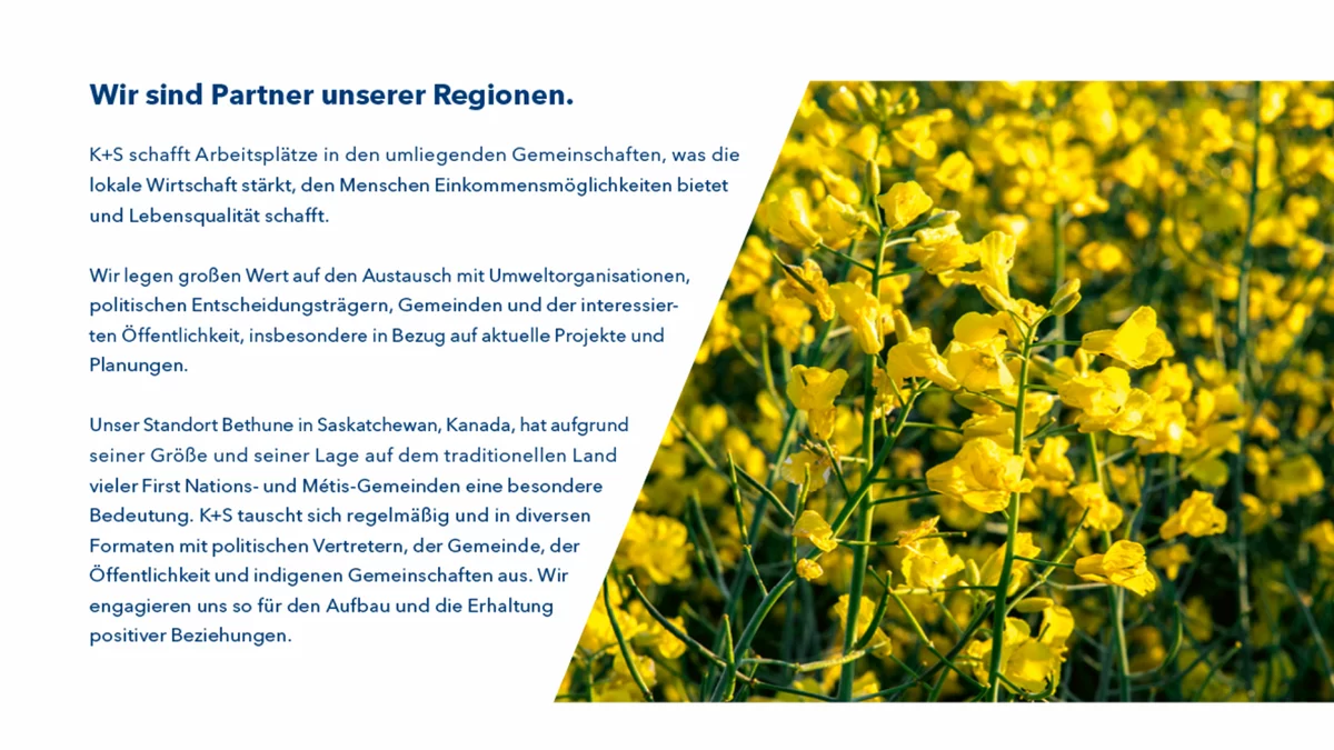 K+S Geschäftsbericht Detail Layout