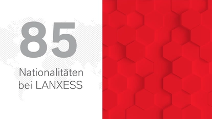 Photo: Lanxess: Nationalities at Lanxess and detail graphic from cover design
