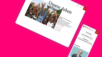 Photo: GIZ: Insight Online Reporting 2019