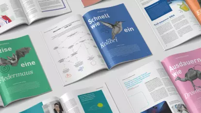 Foto: Dürr Eco Magazin Trennseiten