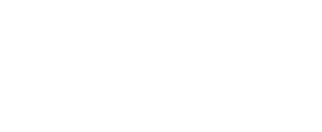 Partner Logo Workiva